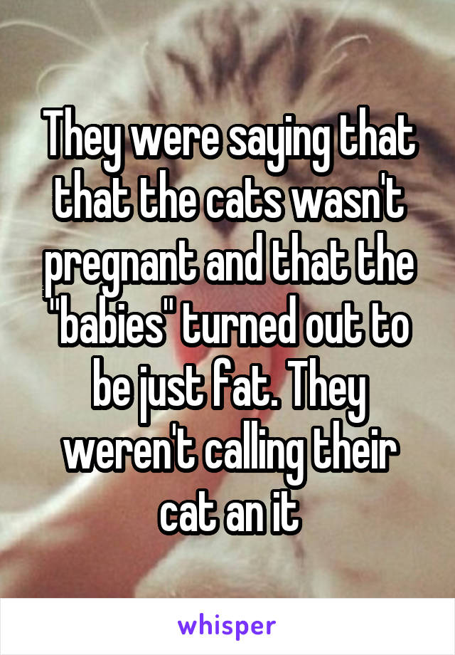 They were saying that that the cats wasn't pregnant and that the "babies" turned out to be just fat. They weren't calling their cat an it