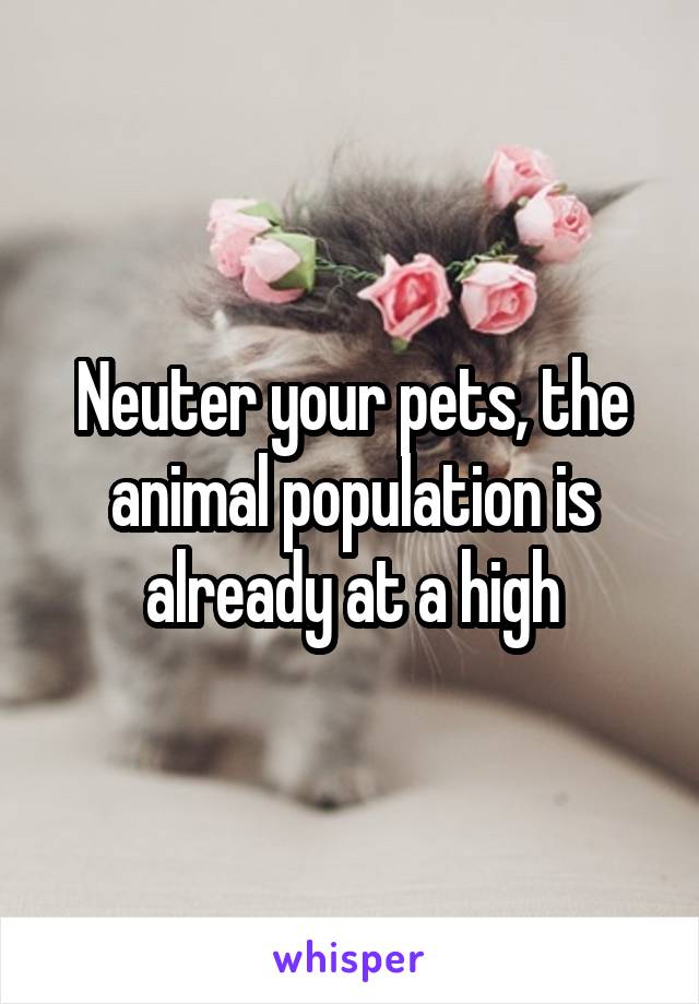 Neuter your pets, the animal population is already at a high