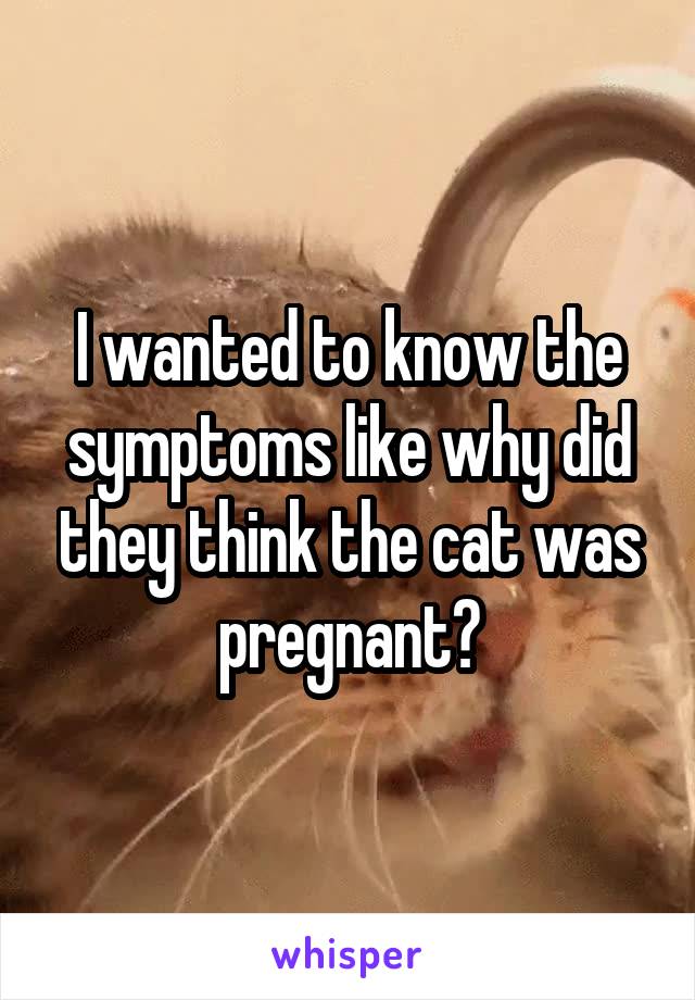 I wanted to know the symptoms like why did they think the cat was pregnant?