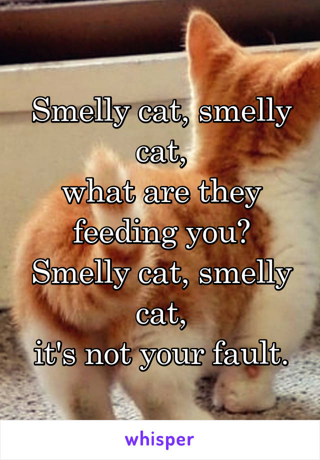 Smelly cat, smelly cat,
what are they feeding you?
Smelly cat, smelly cat,
it's not your fault.