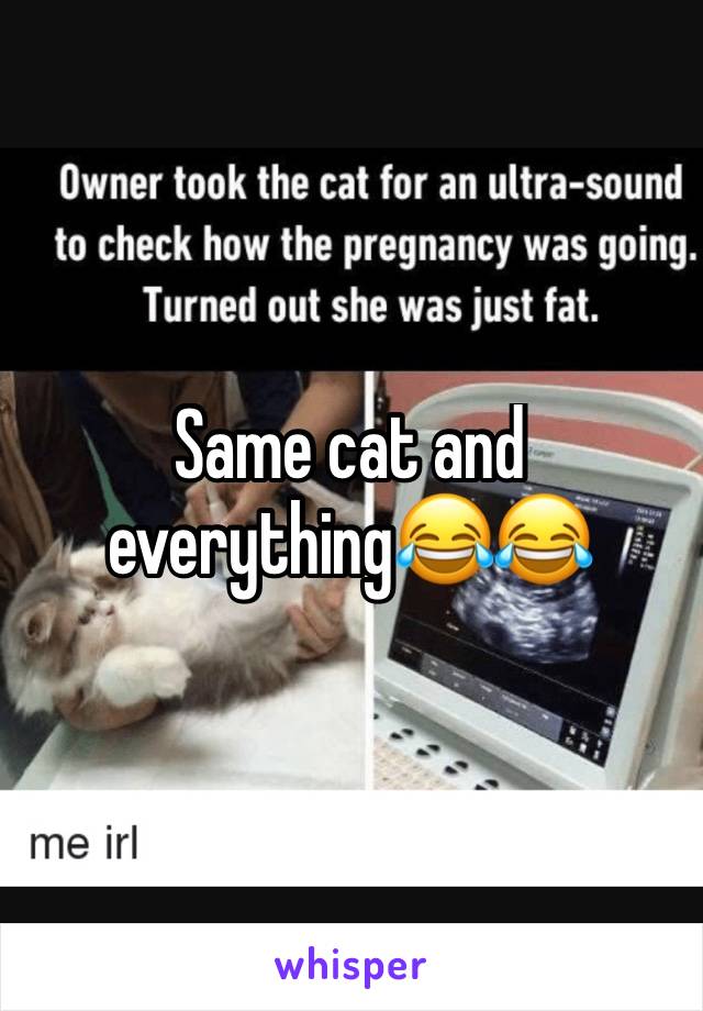 Same cat and everything😂😂