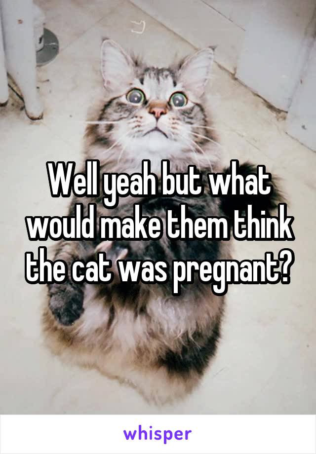 Well yeah but what would make them think the cat was pregnant?