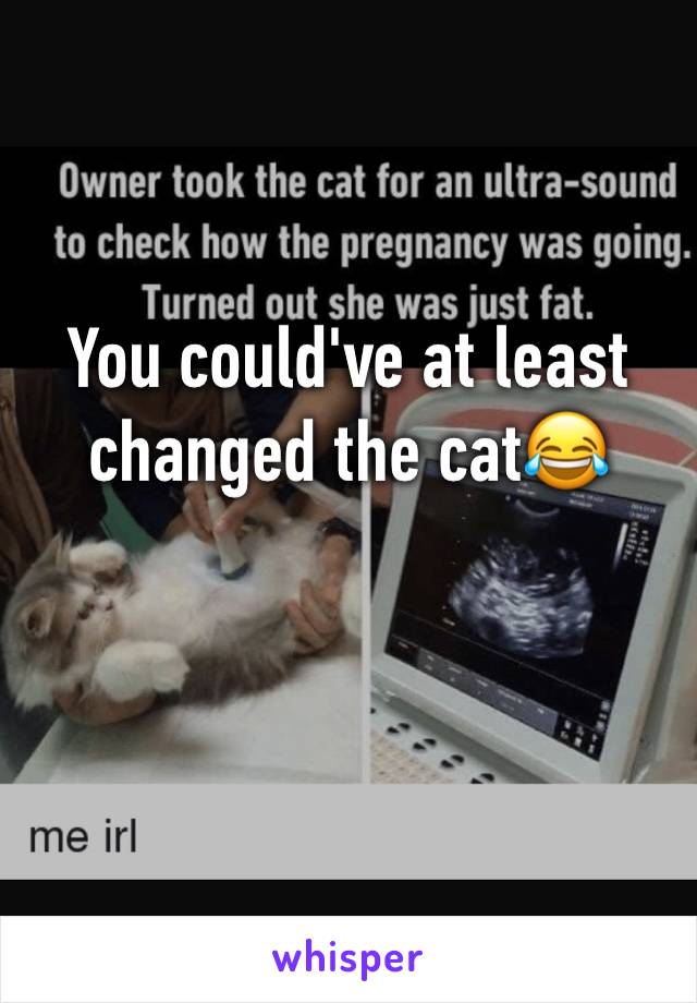 You could've at least changed the cat😂