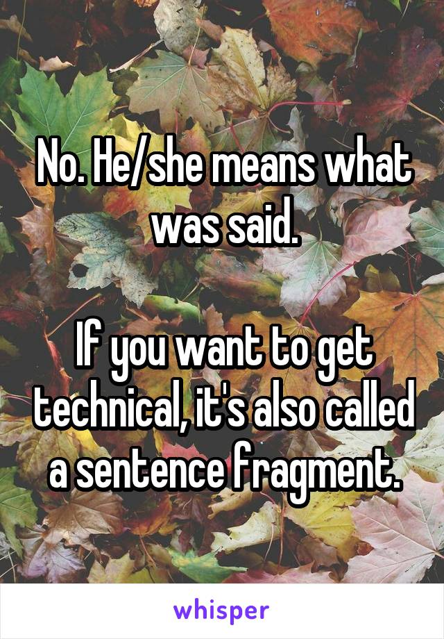 No. He/she means what was said.

If you want to get technical, it's also called a sentence fragment.