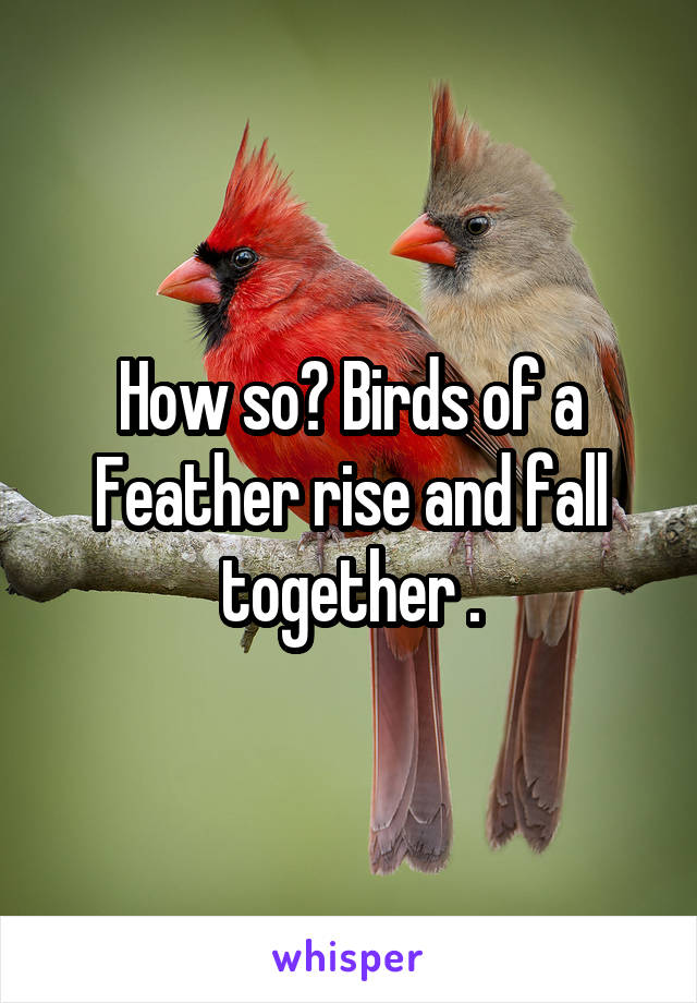 How so? Birds of a Feather rise and fall together .
