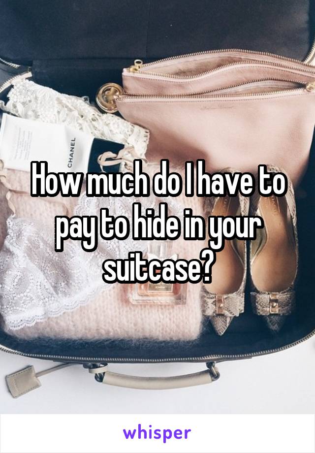 How much do I have to pay to hide in your suitcase?