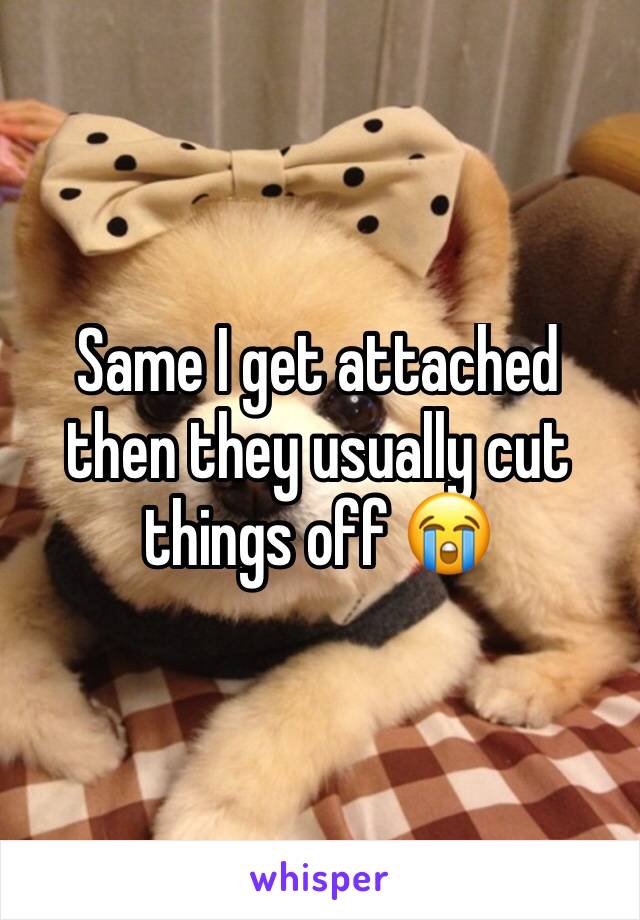 Same I get attached then they usually cut things off 😭