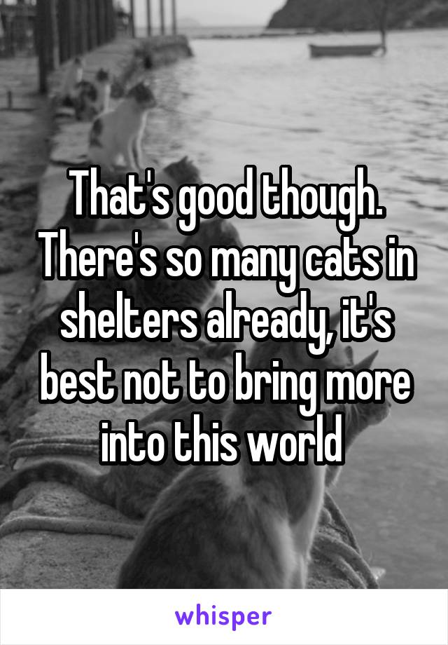 That's good though. There's so many cats in shelters already, it's best not to bring more into this world 