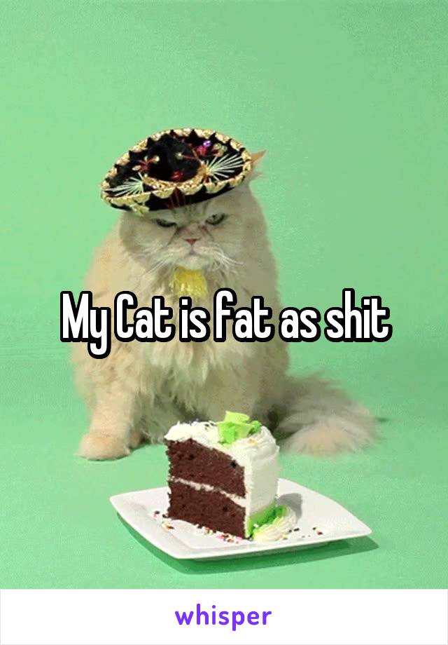 My Cat is fat as shit