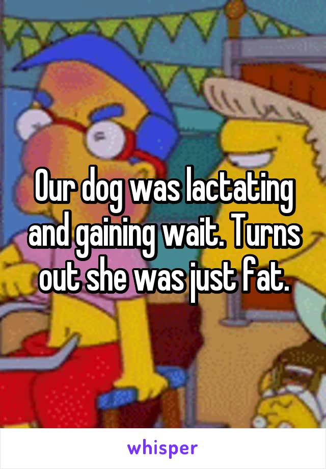 Our dog was lactating and gaining wait. Turns out she was just fat.
