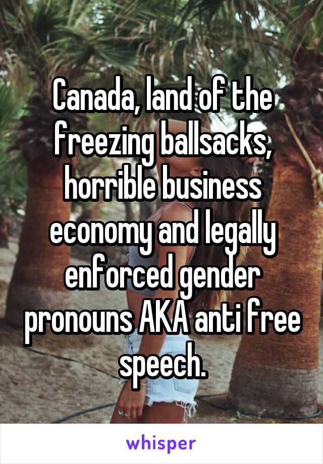 Canada, land of the freezing ballsacks, horrible business economy and legally enforced gender pronouns AKA anti free speech.