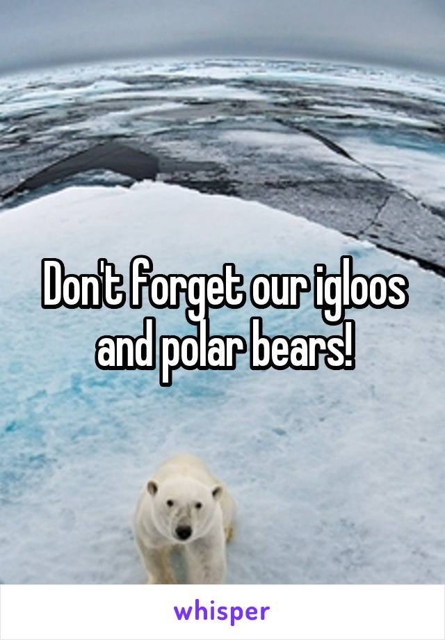 Don't forget our igloos and polar bears!