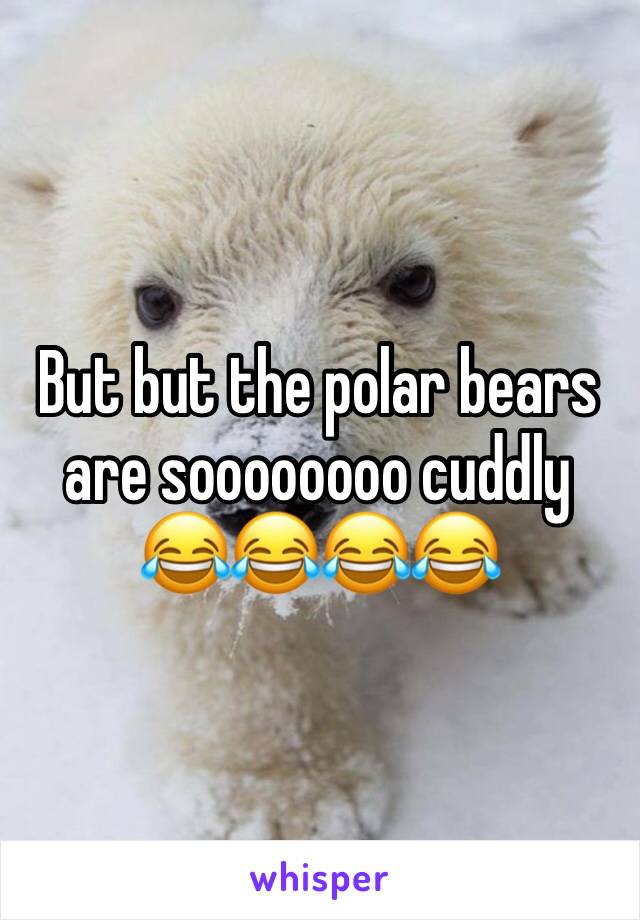 But but the polar bears are soooooooo cuddly 😂😂😂😂