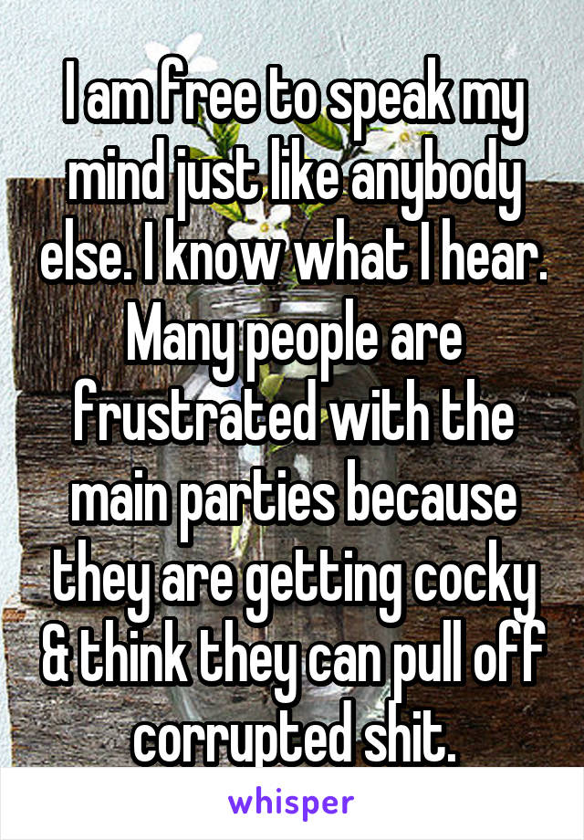 I am free to speak my mind just like anybody else. I know what I hear. Many people are frustrated with the main parties because they are getting cocky & think they can pull off corrupted shit.