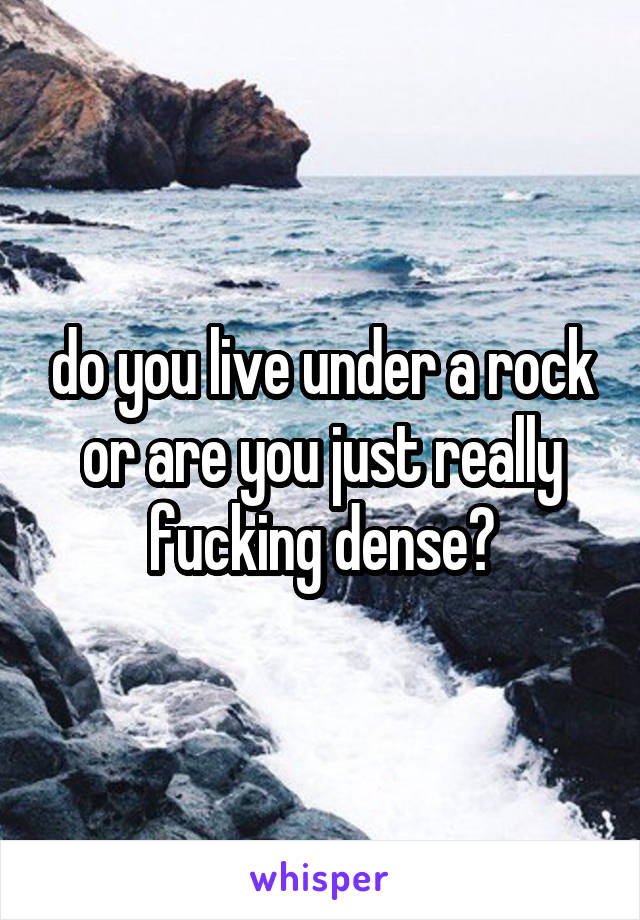 do you live under a rock or are you just really fucking dense?