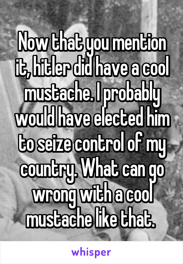 Now that you mention it, hitler did have a cool mustache. I probably would have elected him to seize control of my country. What can go wrong with a cool mustache like that. 