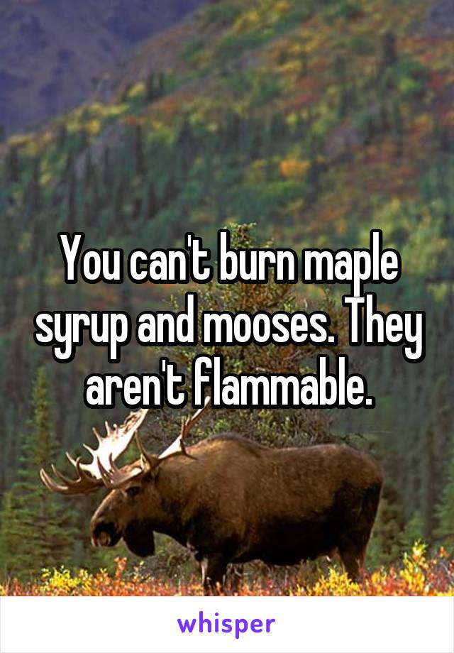 You can't burn maple syrup and mooses. They aren't flammable.