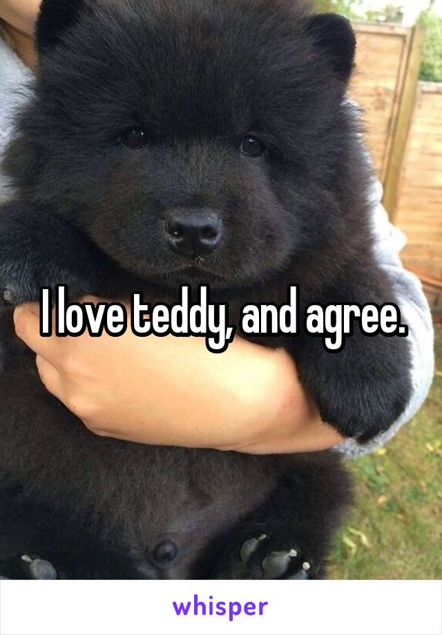 I love teddy, and agree.