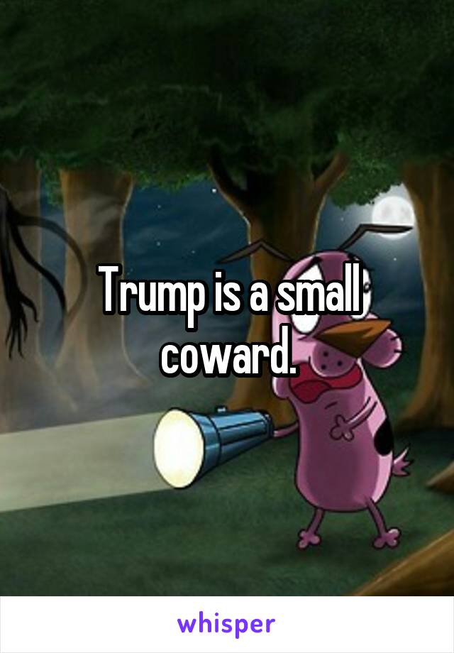 Trump is a small coward.