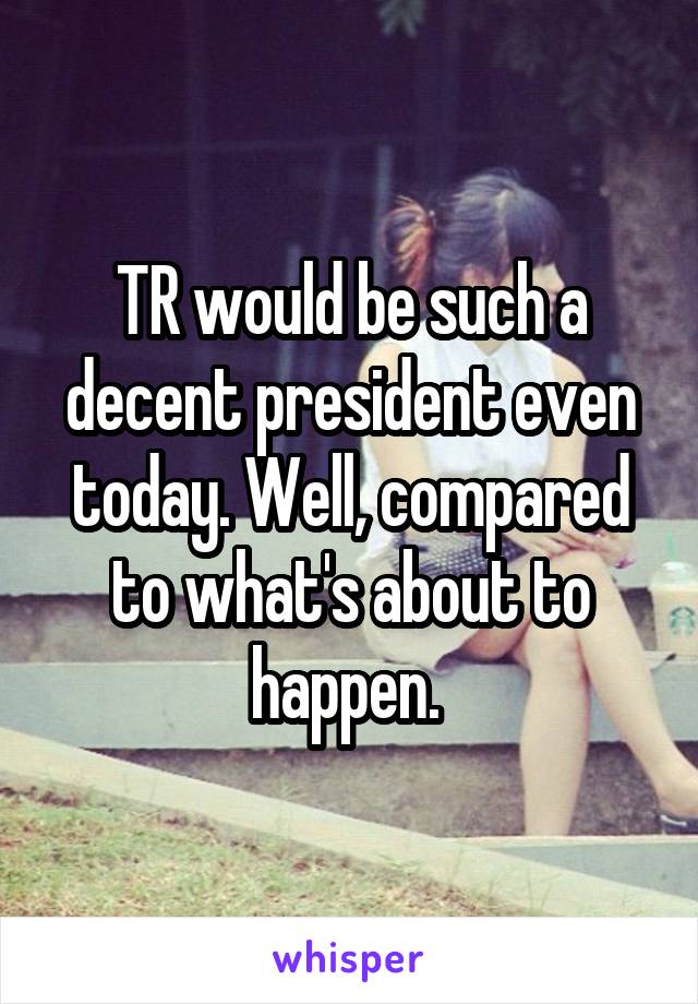 TR would be such a decent president even today. Well, compared to what's about to happen. 