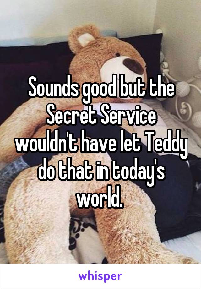 Sounds good but the Secret Service wouldn't have let Teddy do that in today's world. 