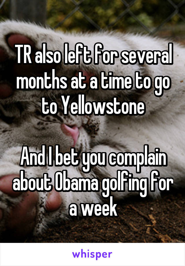 TR also left for several months at a time to go to Yellowstone

And I bet you complain about Obama golfing for a week