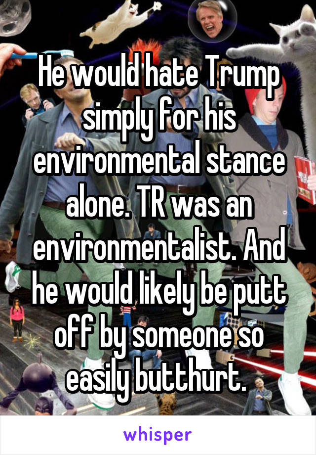 He would hate Trump simply for his environmental stance alone. TR was an environmentalist. And he would likely be putt off by someone so easily butthurt. 