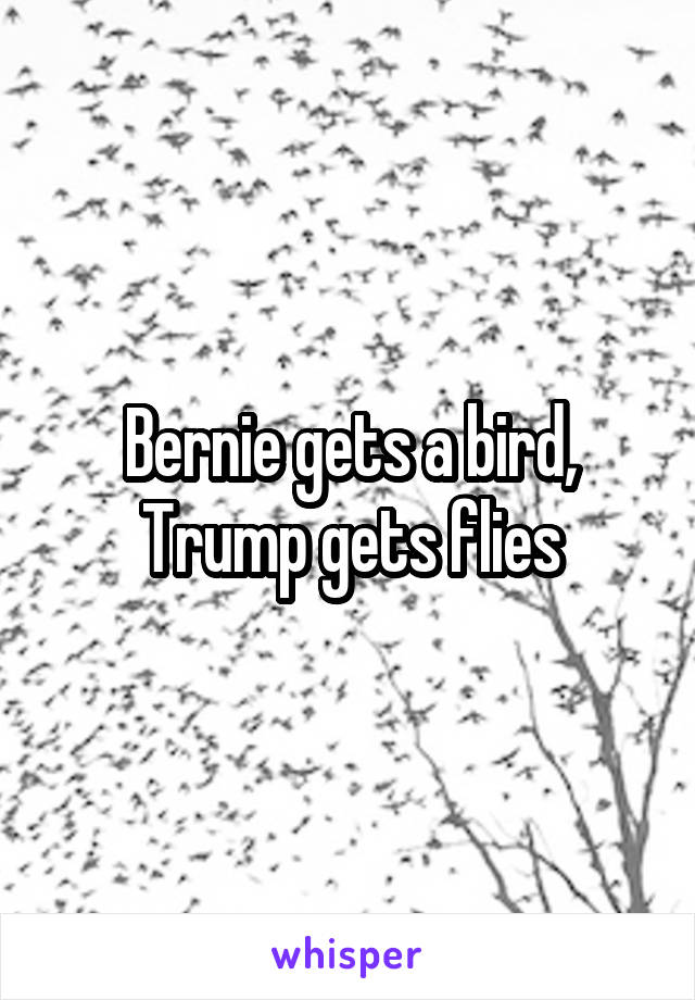 Bernie gets a bird, Trump gets flies