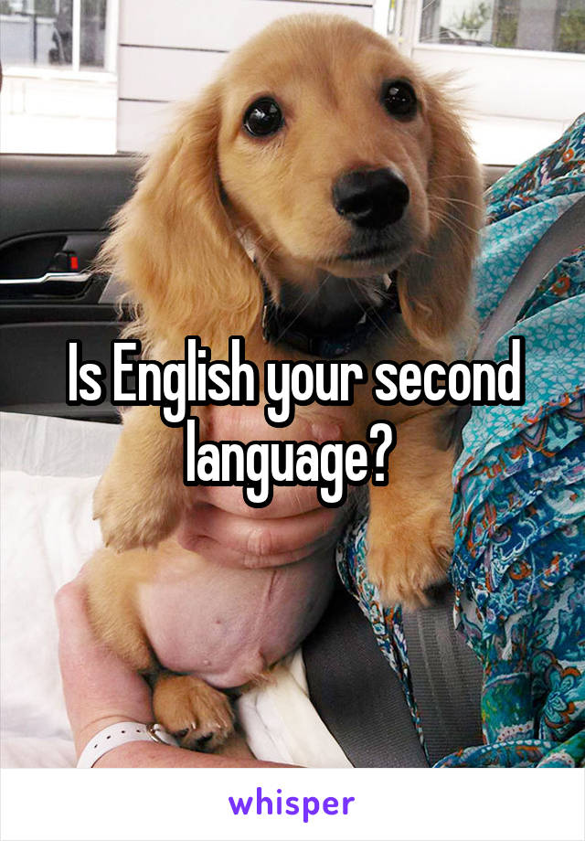 Is English your second language? 