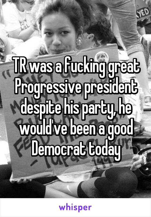 TR was a fucking great Progressive president despite his party, he would've been a good Democrat today