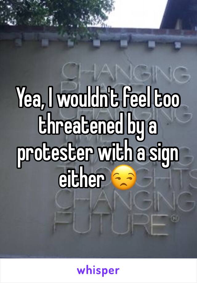 Yea, I wouldn't feel too threatened by a protester with a sign either 😒