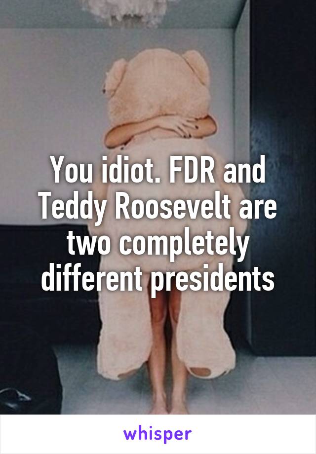 You idiot. FDR and Teddy Roosevelt are two completely different presidents