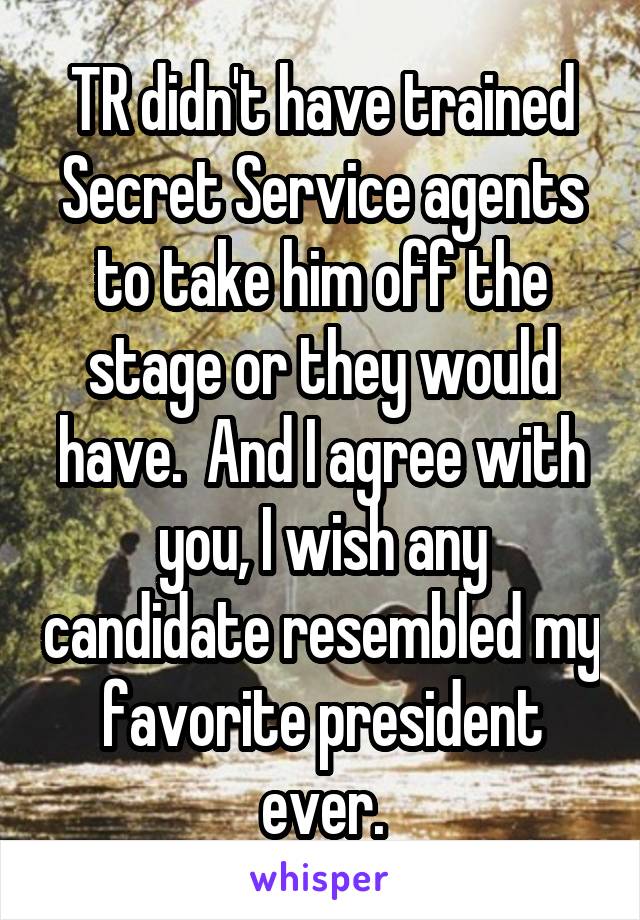 TR didn't have trained Secret Service agents to take him off the stage or they would have.  And I agree with you, I wish any candidate resembled my favorite president ever.