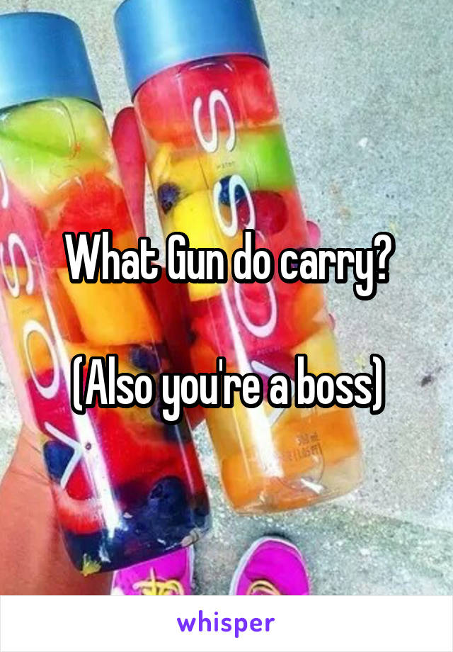 What Gun do carry?

(Also you're a boss)