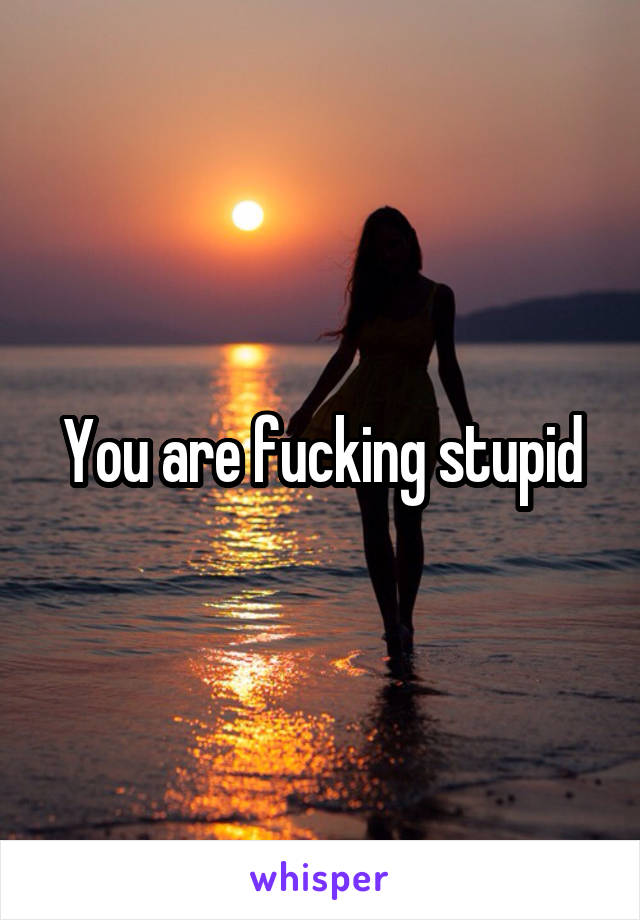 You are fucking stupid