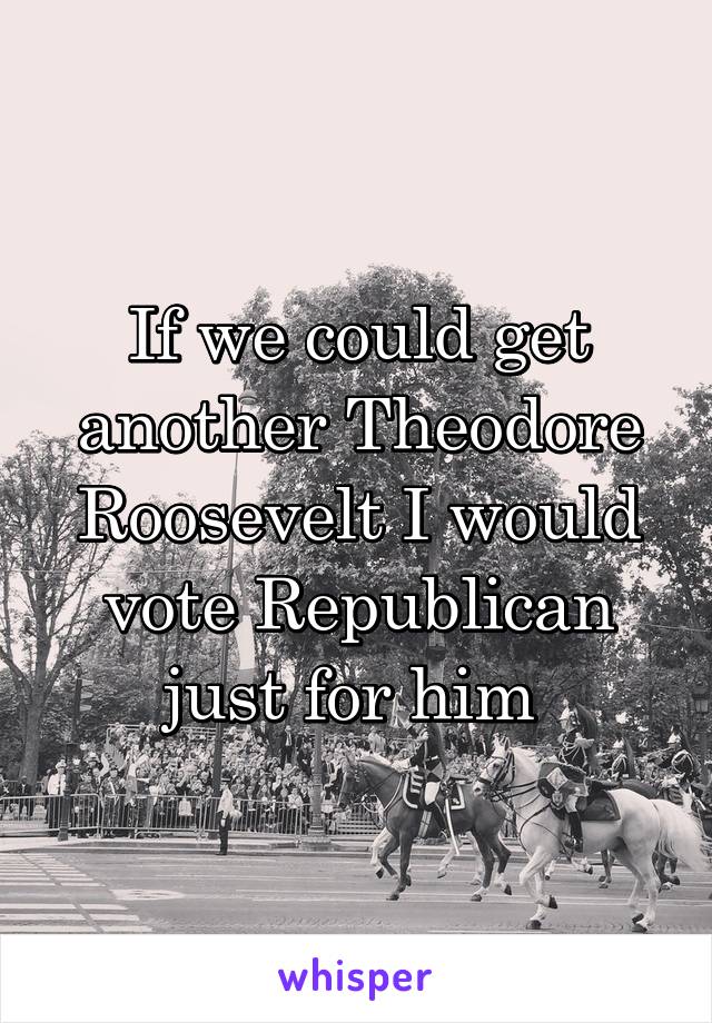 If we could get another Theodore Roosevelt I would vote Republican just for him 