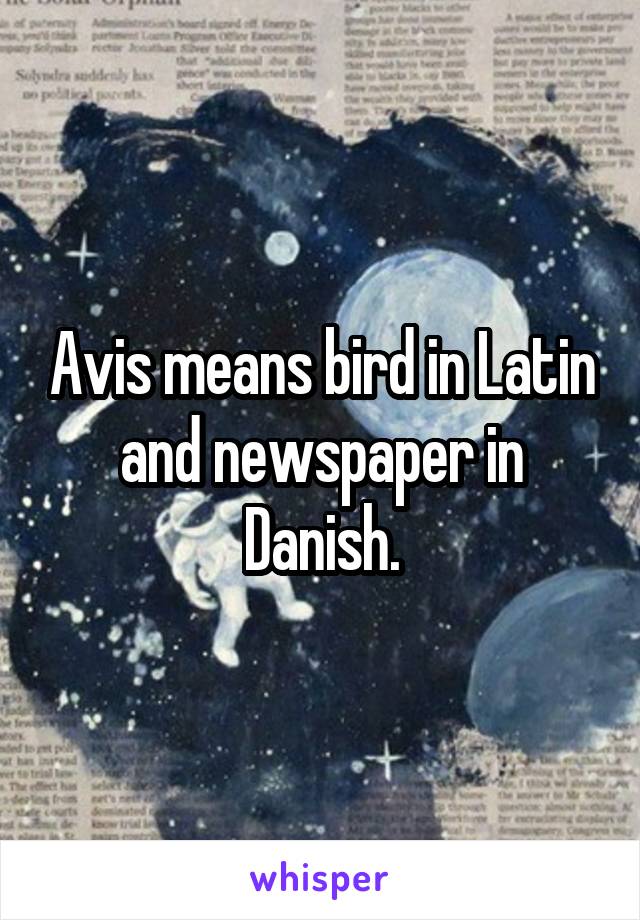 Avis means bird in Latin and newspaper in Danish.