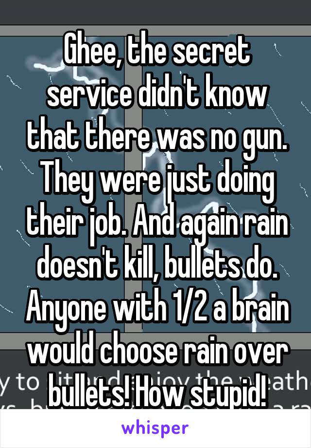 Ghee, the secret service didn't know that there was no gun. They were just doing their job. And again rain doesn't kill, bullets do. Anyone with 1/2 a brain would choose rain over bullets! How stupid!