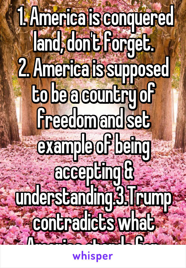  1. America is conquered land, don't forget.
2. America is supposed to be a country of freedom and set example of being accepting & understanding.3.Trump contradicts what America stands for.