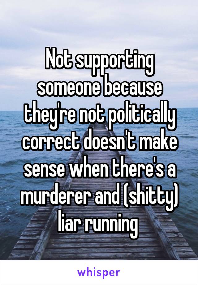 Not supporting someone because they're not politically correct doesn't make sense when there's a murderer and (shitty) liar running 