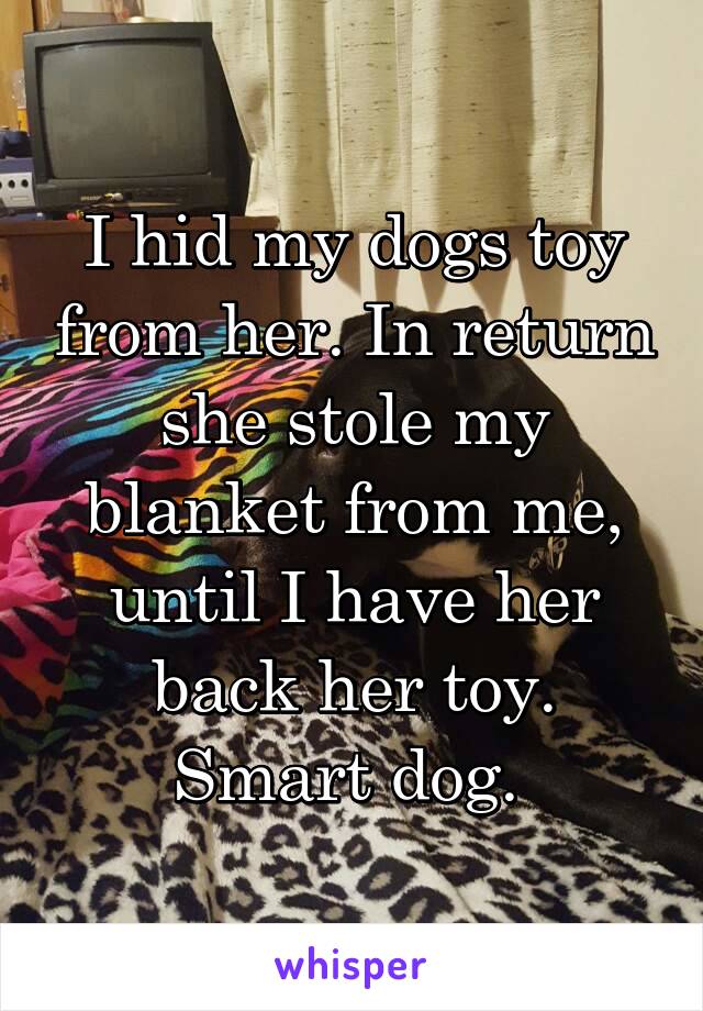 I hid my dogs toy from her. In return she stole my blanket from me, until I have her back her toy. Smart dog. 