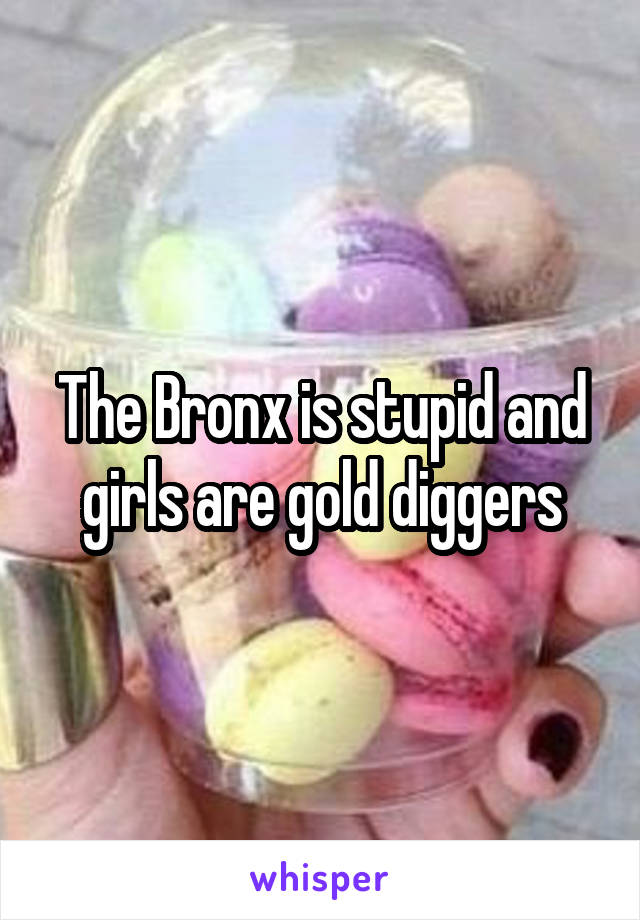 The Bronx is stupid and girls are gold diggers