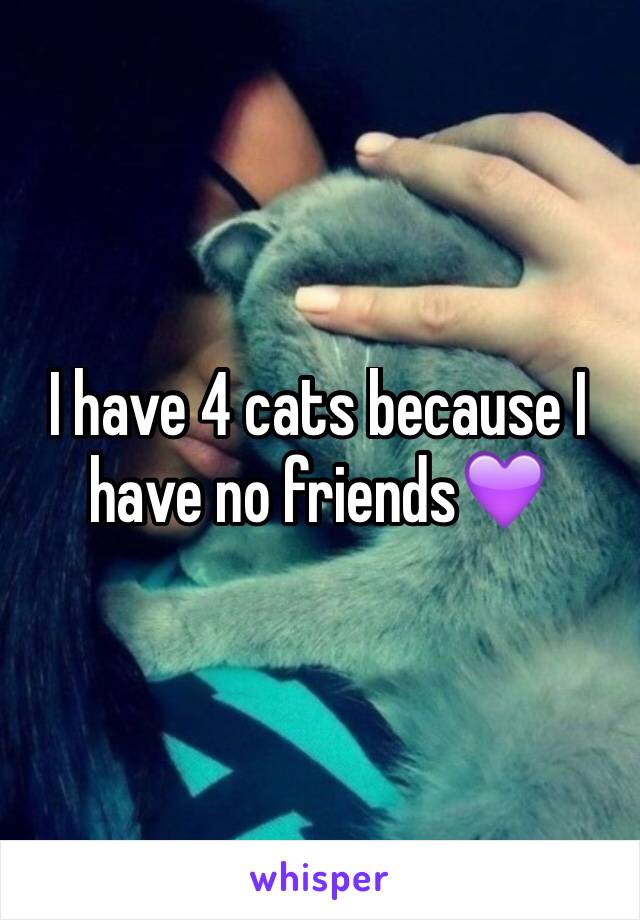 I have 4 cats because I have no friends💜