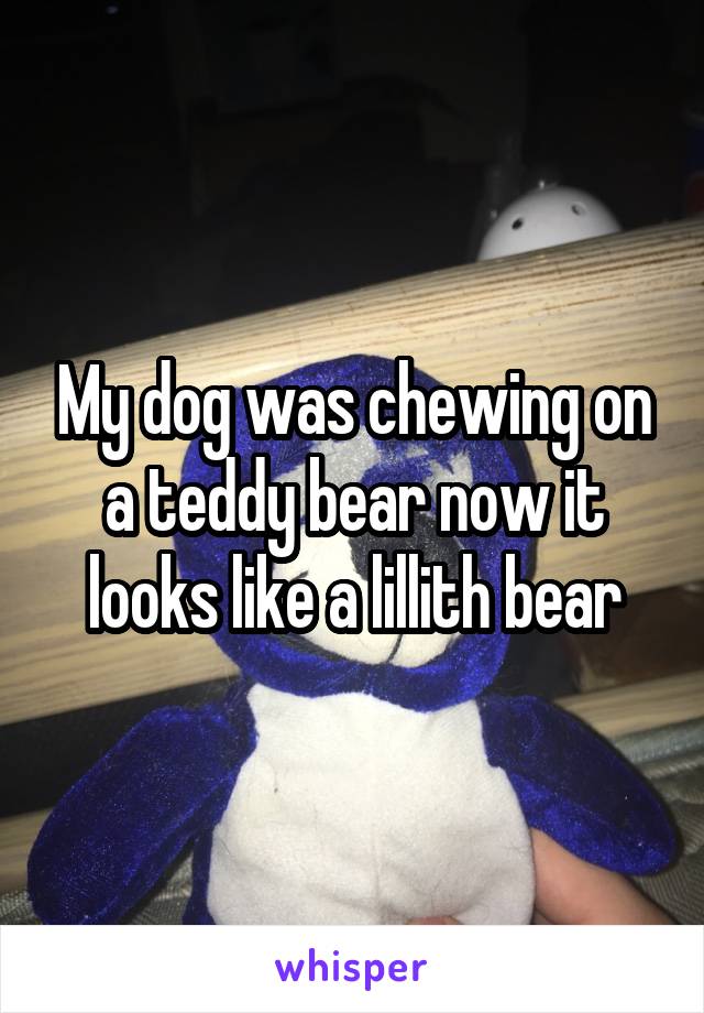 My dog was chewing on a teddy bear now it looks like a lillith bear