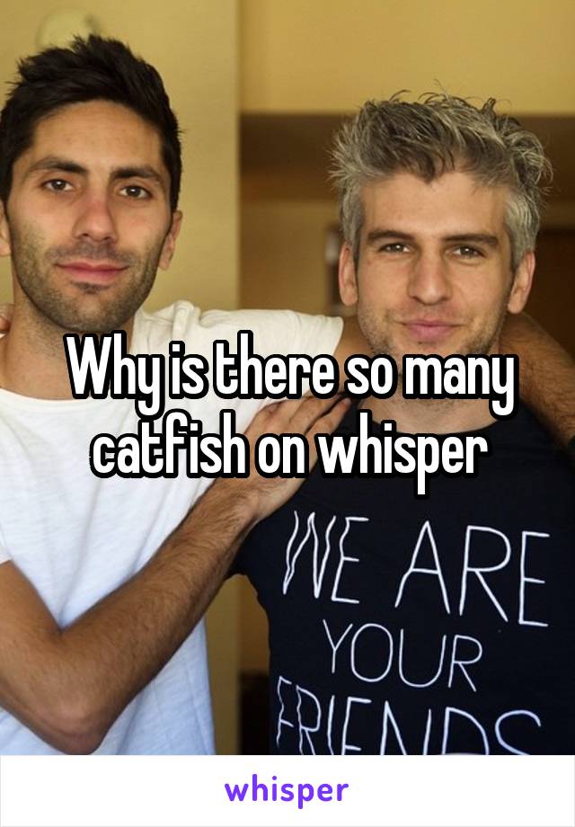 Why is there so many catfish on whisper