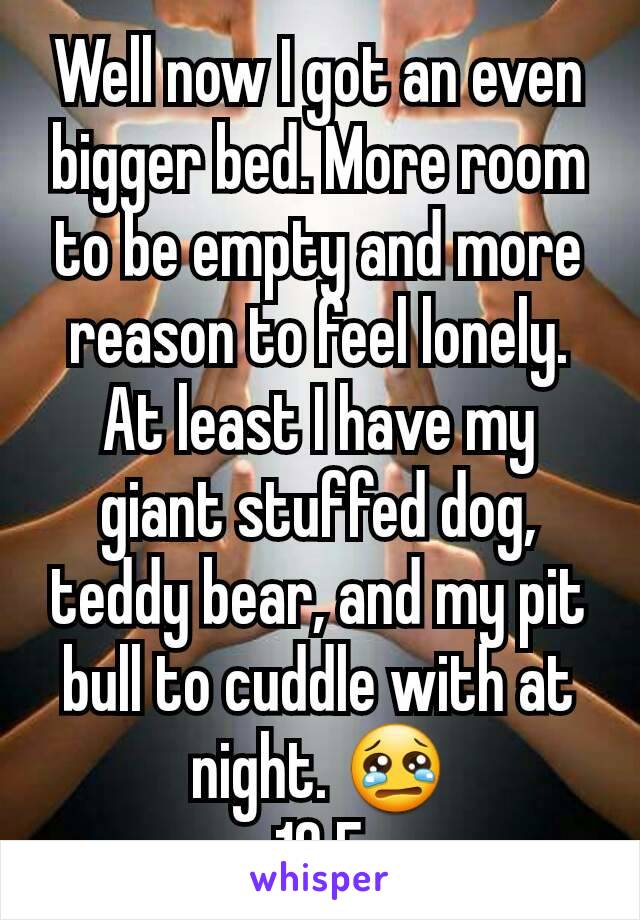 Well now I got an even bigger bed. More room to be empty and more reason to feel lonely.
At least I have my giant stuffed dog, teddy bear, and my pit bull to cuddle with at night. 😢
19 F