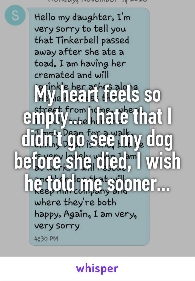 My heart feels so empty... I hate that I didn't go see my dog before she died, I wish he told me sooner...