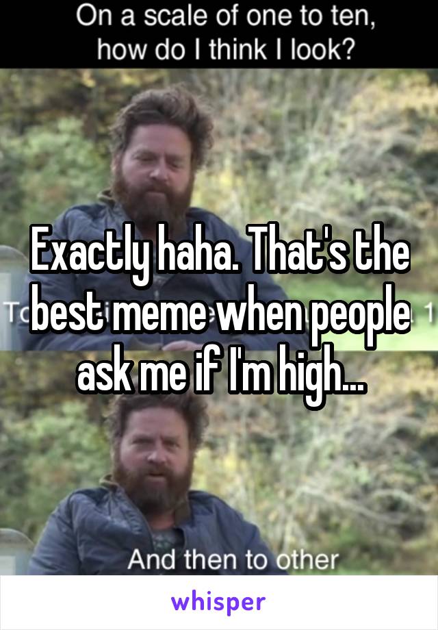 Exactly haha. That's the best meme when people ask me if I'm high...