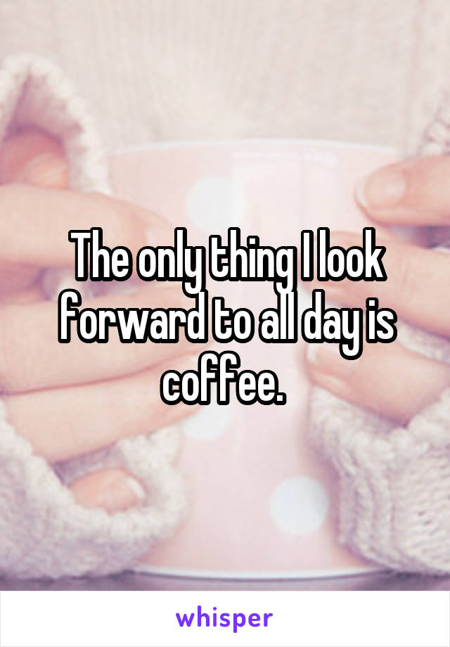 The only thing I look forward to all day is coffee. 