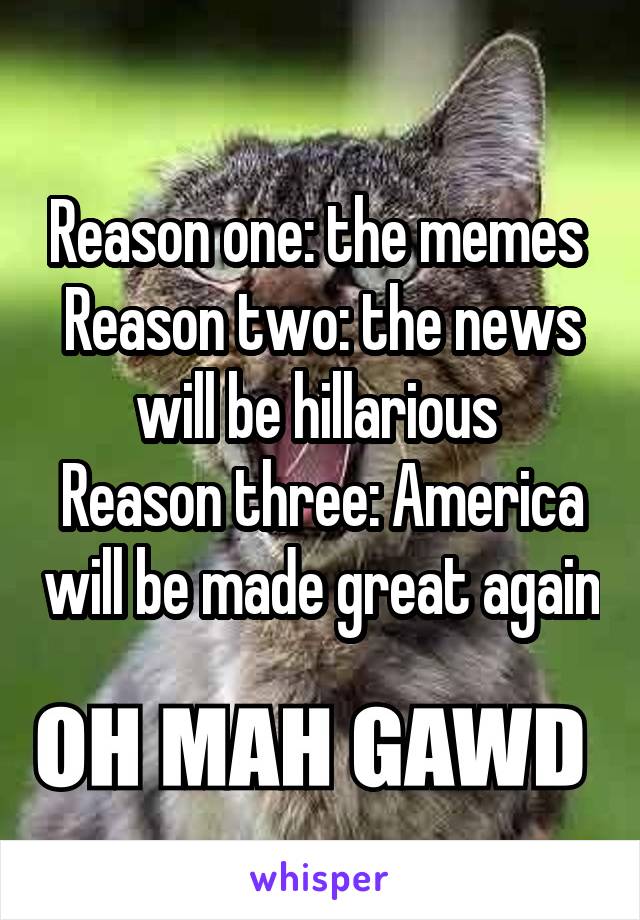 Reason one: the memes 
Reason two: the news will be hillarious 
Reason three: America will be made great again 